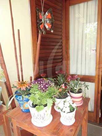 Gran Simposio de Jardinería
