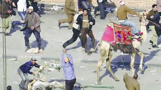 Partidarios del presidente Mubarak ingresaron a la plaza a pie, con caballos y camellos, y chocaron con los manifestantes que piden la renuncia del mandatario.