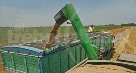 EEUU achica la previsión de la cosecha de soja