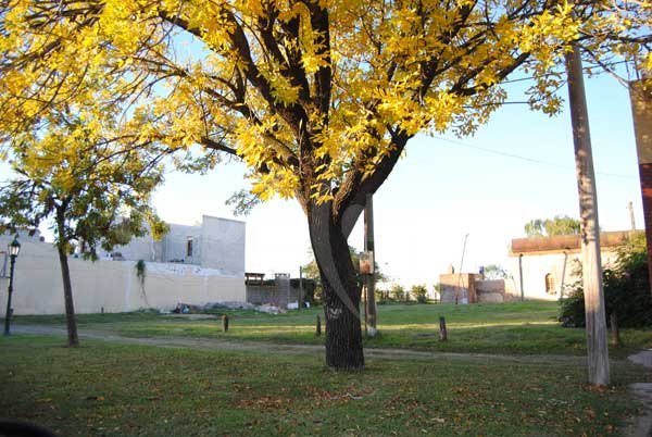 El Municipio construirá un SUM en la ciudad