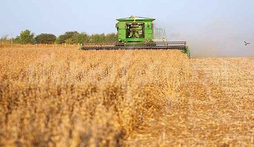 Con buenos rindes comenzó la cosecha de soja