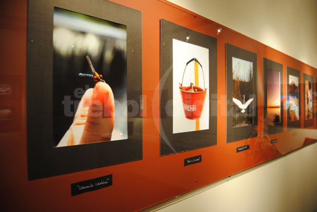 Se inauguró una extraordinaria muestra de fotografía en el Museo