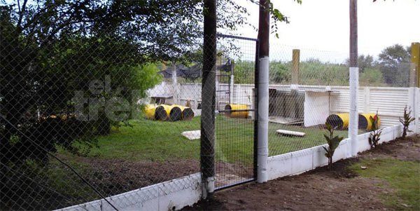 Amplían el Hogar canino