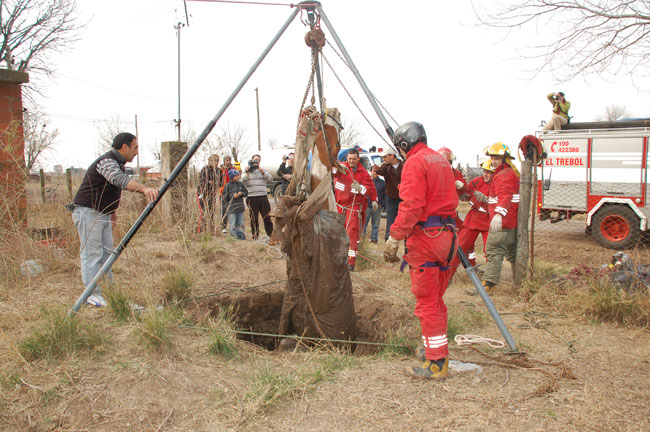 Heroico rescate de un caballo