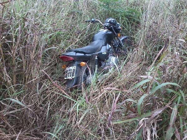 Sorprendieron in fraganti a dos sujetos robando en un campo