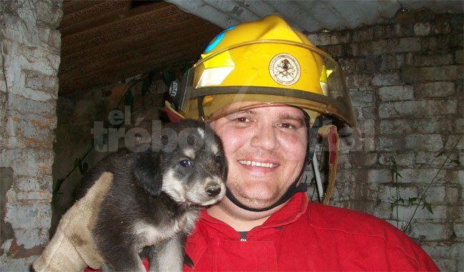Heroico rescate de un perrito