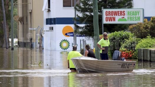 Las autoridades pidieron a los ciudadanos de Rockhampton, en la costa Este, que estén alertas porque las especies fueron desplazadas de sus lugares naturales.