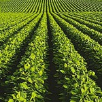 Se realiza el Censo Agropecuario en la Oficina de Empleo