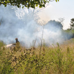 Incendio de pastizales en el norte de la ciudad