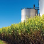 El Trébol se podría sumar al proyecto de bioenergía