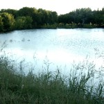 Predio del Agua Potable con ingreso prohibido: Así están las lagunas tras las lluvias