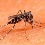 Casos de dengue en El Trébol y San Jorge