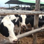 AGROPECUARIA – Beneficios para el Impuesto Inmobiliario Rural