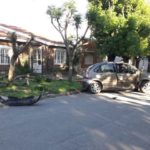 Perdió el control y chocó contra un árbol