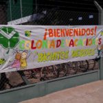 BICHITOS VERDES – El «Verde» alista la temporada con una buena cantidad de inscriptos