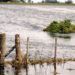 Ya se pueden retirar los certificados de la Emergencia Agropecuaria 2016