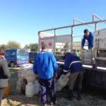 VIERNES- Llega el camión con gas envasado