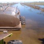 Cuatro de cada diez empresas agropecuarias se inundaron este año