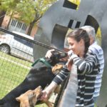 Adopción canina durante la Fiesta de la Danza