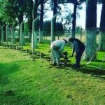 El Expreso trabaja en el recambio del tejido perimetral del campo de deportes