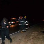 Un motociclista chocó un perro en Ruta 13