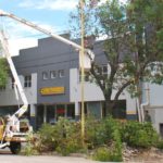 El municipio trabaja en la poda de árboles