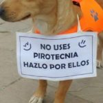 En esta fiestas, decile NO a la pirotecnia