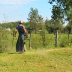 Corte de césped: “Estamos trabajando intensamente”