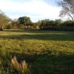 BALDIOS – Los vecinos deben tomar conciencia y mantenerlos limpios