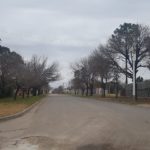 Se robaron un cordero y lo encontraron a medio faenar