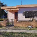 Se robaron una motosierra de una vivienda en plena tarde