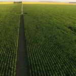 Se comenzó a realizar el Censo Nacional Agropecuario