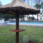 El “Verde” y la temporada de pileta 2018/2019