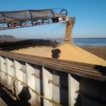 Diciembre se encamina a ser un mes record de exportación de trigo