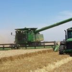 La cosecha de trigo marcó un nuevo récord productivo de 19 millones de toneladas