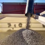 TRIGO – La importancia de una óptima fertilización