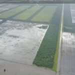La inundación en Chaco es la más grave de los últimos 30 años