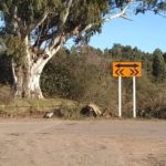 Se colocó nueva señalización vertical en caminos rurales