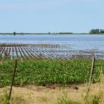 Por las lluvias, el departamento San Martín perdió U$S 82 millones