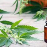 Santa Fe es la primera ciudad de la provincia en regular el acceso al Cannabis medicinal