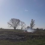 Tomaron fuego rollos en un campo