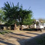 EPE – Podaba un arbol, tocó un cable y recibió una tremenda descarga