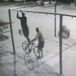 Se roban las luces de la Heladería Lila