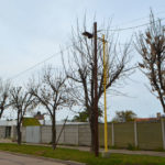 LUMINARIAS – Se realiza un plan integral en toda la ciudad