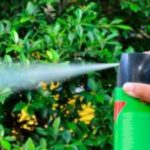 La ANMAT exigió el retiro del mercado de insecticidas de las marca Fuyi y Raid por fallas