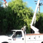 EPE – Cortes de energía por poda programadas
