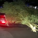 PIAMONTE – Esclarecen un robo y secuestran marihuana