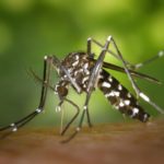 Los casos de dengue siguen creciendo: se confirmaron 3.210 en Santa Fe