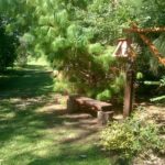 Robo y destrozos en el Vivero Rosso