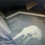 EN PLENO CENTRO DE MARIA SUSANA – Con una pala rompió el vidrio de un súper, arrancó la caja fuerte y se fue caminando